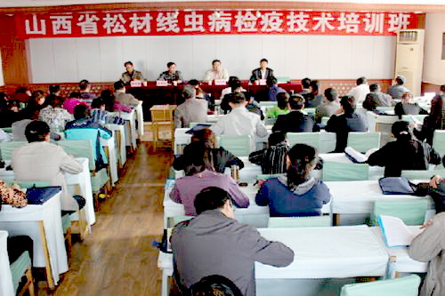 �����ɲľ�(xi��n)�x(ch��ng)���Ό�(zhu��n)�(xi��ng)�W(xu��)��(x��)����Ӗ(x��n)